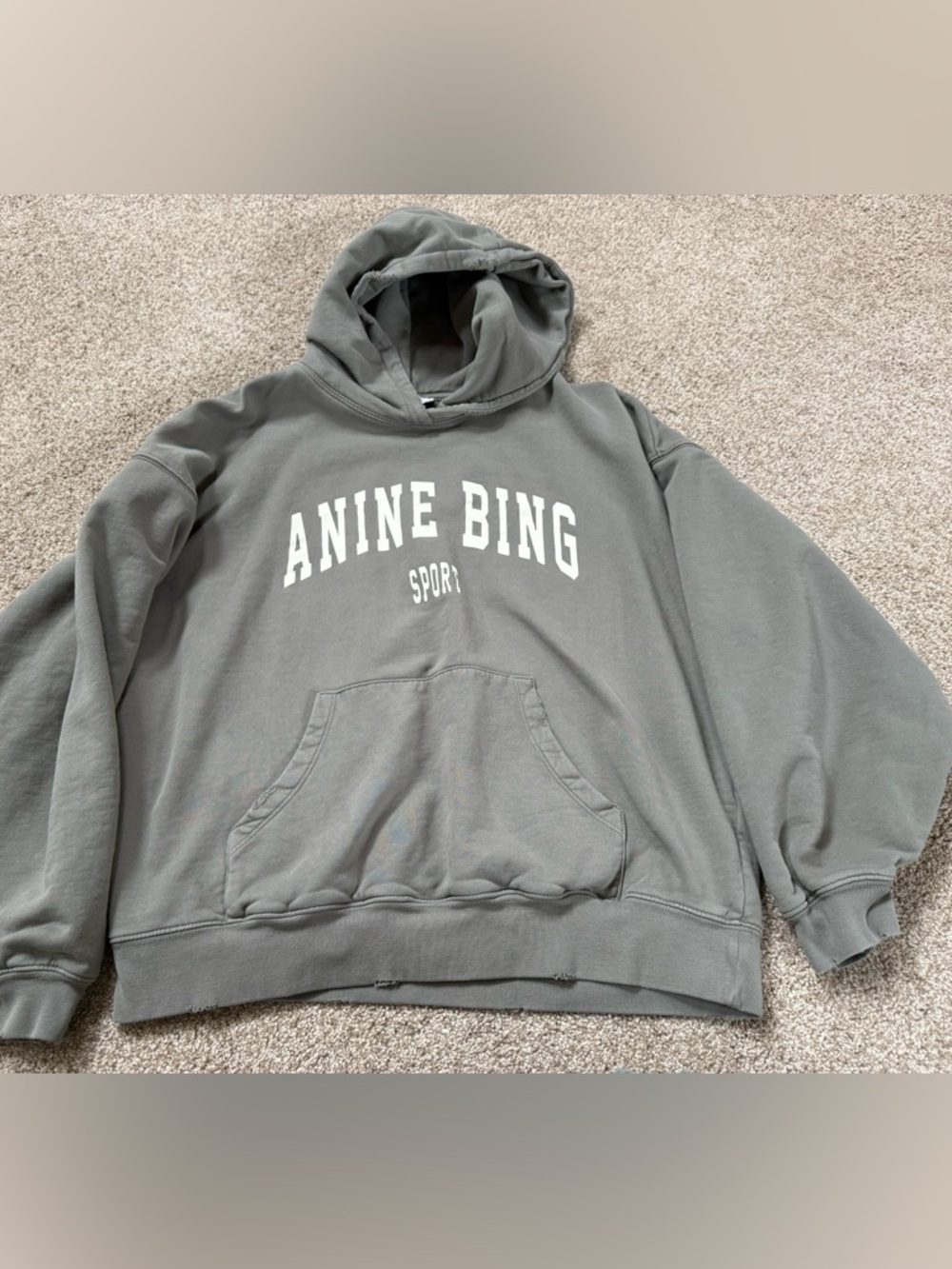 Anine Bing Olive Gray Logo Hooded Sweatshirt